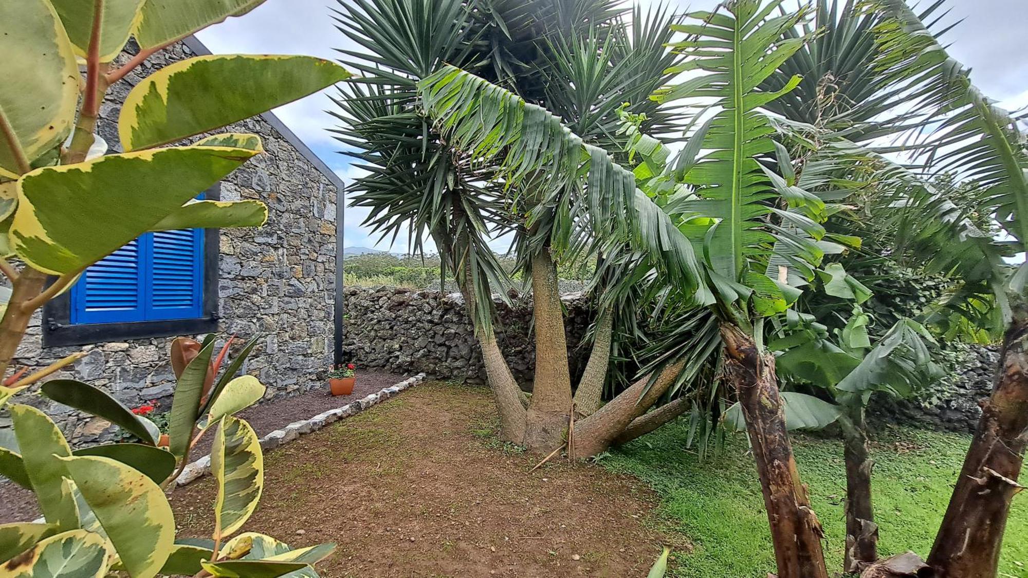 Villa Casa Azul à Rabo de Peixe Extérieur photo